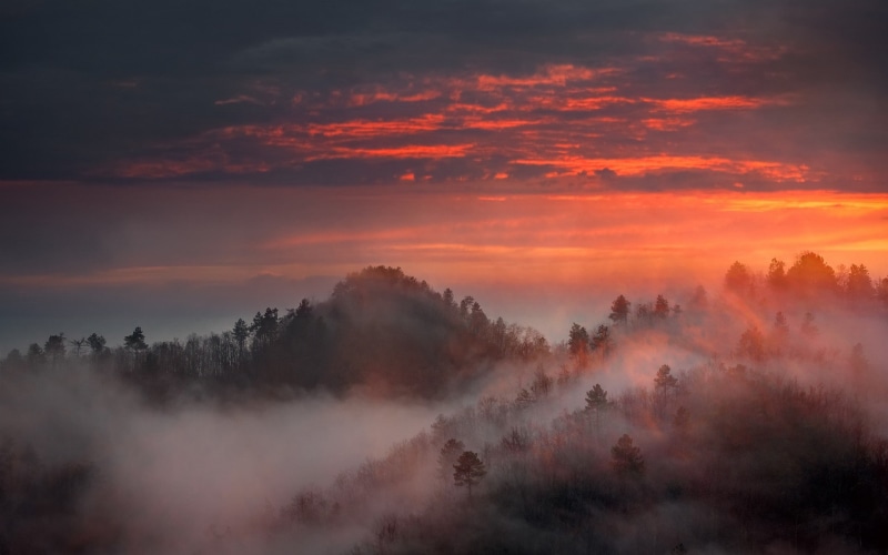 sunrise, mist, 1080P, mountain, sky, landscape, forest, nature