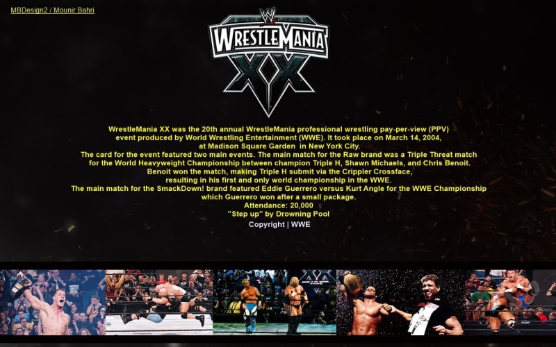 Wrestlemania 20, John Cena, wrestlemania, Stone Cold Steve Austin, WWE, 720P, Randy Orton, wrestling, Eddie Guerrero, Brock Lesnar