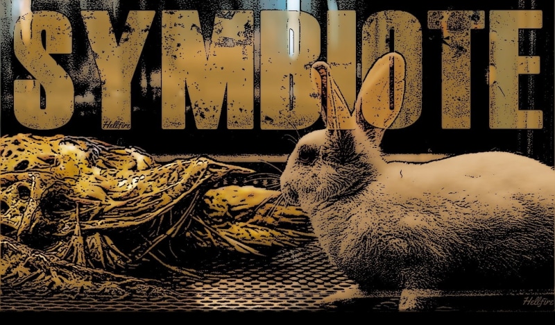 Symbiote, mammal, indoors, pattern, 720P, yellow, no people, domestic animals, graffiti, day, Venom, western script, domestic, one animal, art and craft