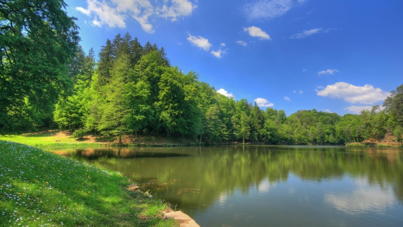 beautiful, lush trees, blue skies, dreamscape, 1080P, green grass, heavenly, 3d and abstract, lake