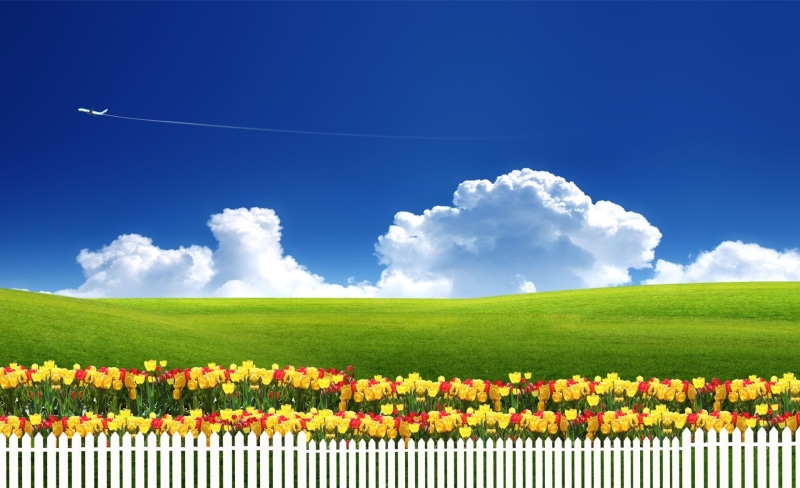 1080P, airplane, cloud - sky, multi colored, sunflower, springtime, outdoors, Dreamscape, blue, field, freshness, green, nature, landscape, Seasons, sky