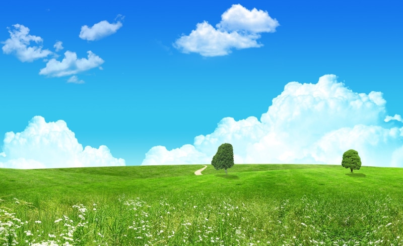 grass, growth, scenics - nature, plain, cloud - sky, day, no people, field, tranquil scene, digital composite, outdoors, sky, green color, environment