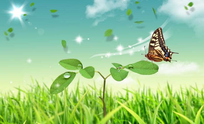 nature, close-up, animal wing, Dreamscape, brown, animals in the wild, butterfly, animal themes, invertebrate, 1080P, Spring, no people, animal, blade of grass