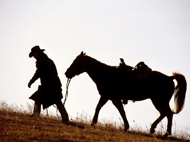 horse, ride, full length, 720P, animal themes, pets, silhouette, riding, cowboys, mammal, animal, two animals, nature, vertebrate, sunset, domestic, livestock