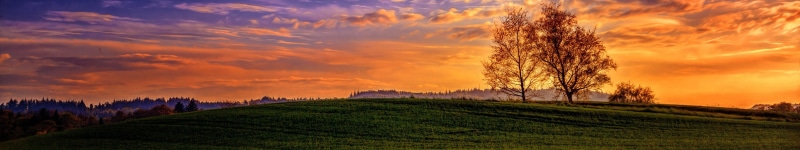 scenics - nature, panoramic, crop, agriculture, nature, landscape, tranquility, sky, environment, cloud - sky, farm, triple screen, rural scene, growth
