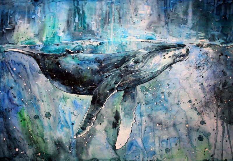 day, creativity, whale, humpback, artwork, underwater, water, textured, no people, 2K, fish, sea, art and craft, watercolor, paintings, vertebrate, close-up