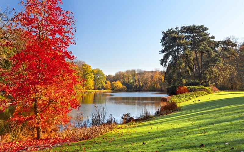 2K, Trees, Park, Scenery, Leaves, Nature, Lake, Autumn
