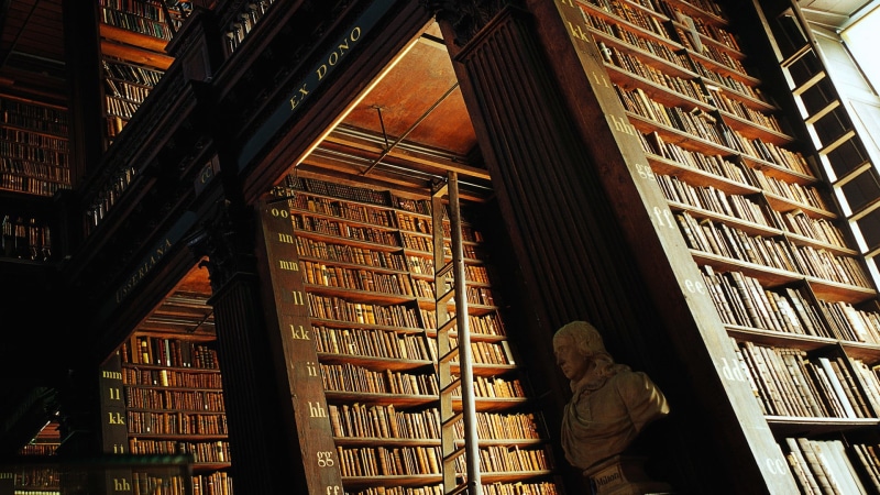 Dublin, bookshelf, architecture, Trinity College Library, brown, interior, large group of objects, indoors, men, books, real people, wood, education, standing