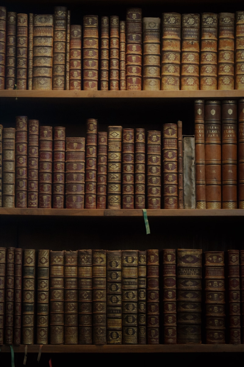 hardcover book, lot, book case, library, wisdom, dusty, tomes, side by side, books, book, bookshelf, first editions, choice, scholarly, arrangement, publication