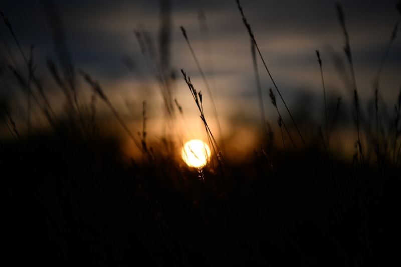 nature, dark, clouds, Sun, grass, sun rays, blurred, 8K