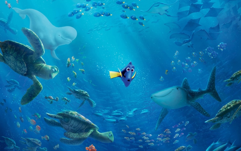 undersea, dory, underwater world, group of animals, animal themes, shark, nature, kit, water, beauty in nature, sea life, animals in the wild, swimming