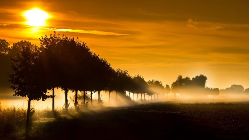 outdoors, field, leafed, 1080P, landscape, no people, cloud - sky, environment, tree, sun rays, growth, tranquil scene, plant, tranquility, beauty in nature
