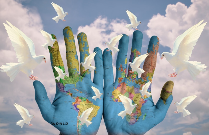 doves, art, dove, beauty in nature, white, sky, peace, symbol, world, 5K, green, hand, human hand, business, peaceful, day, earth, harmony, plant, hope
