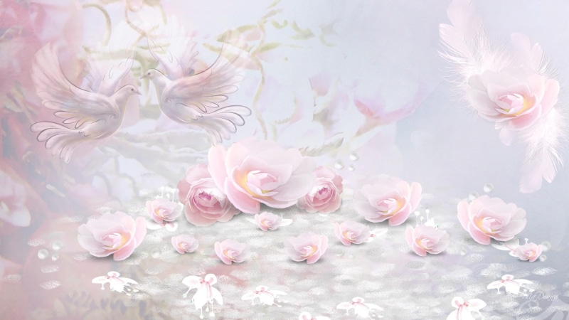feather, pink, soft, 1080P, 3d and abstract, light, doves, scatter, delicate, summer, spring, roses, birds