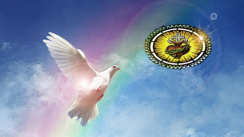 Jesus Christ, animal, digital composite, vertebrate, outdoors, one person, dove, flying, animal body part, motion, 1080P, mid-air, cloud - sky, animal wing