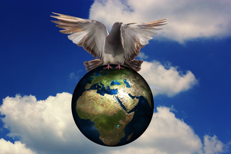 animal, war, mid-air, digital composite, planet earth, planet - space, sphere, nature, harmony, globe - man made object, asia, animals in the wild, bird