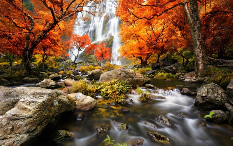 1080P, Waterfalls, photo, lapse, Trees, time, Red, Leaves, river, Autumn, Forest
