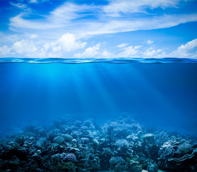reef, fishes, Ocean, peace, Sea, underwater, coral, coral reef, tropical, 4K