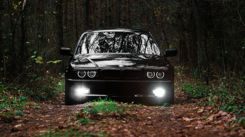 mode of transportation, car parts, woodland, nature, E39, land vehicle, BMW, plant, headlight, 1080P, tree, forest, communication, field, outdoors, trunk