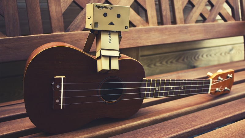man, stringed instrument, art, instrument, band, male, concert, musical instrument, performer, player, sound, musician, bass, strings, electric guitar
