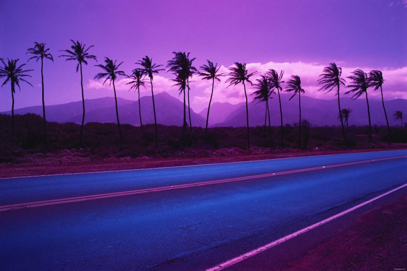 palm trees, purple, vaporwave, 4K
