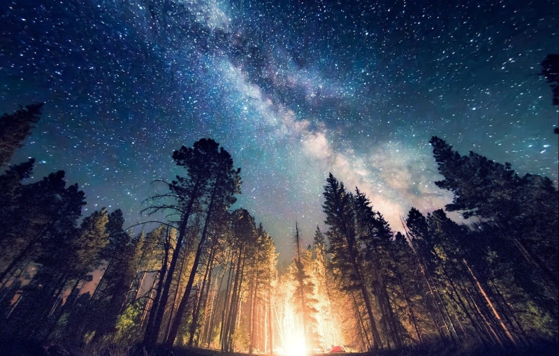 outdoors, milky Way, dark, star Shape, scenics, nebula, sky, growth, constellation, star Field, woodland, lapse, night, land, planet - Space, awe, star Trail