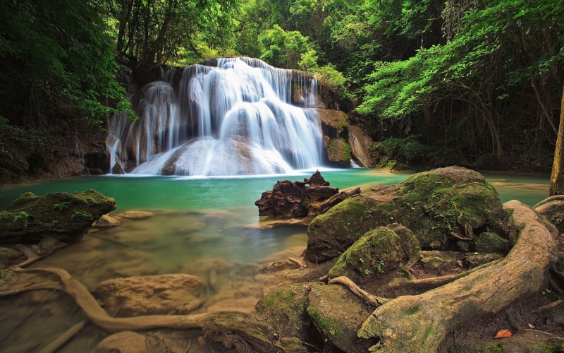 2K, rocks, pond, moss, trees, timelapse, jungle, waterfall, forest, nature, hd, stones