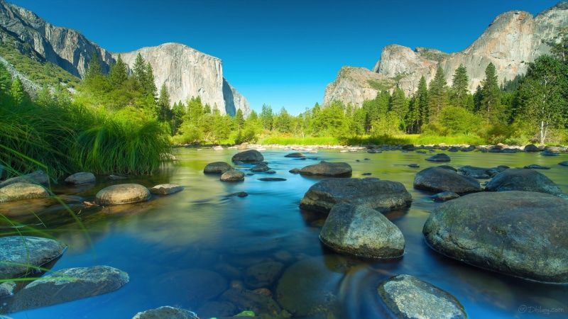 Yosemite, river, long exposure, el capitan, long  exposure, trees, landscape photography, BRILLIANT, tree, Classic, water, nature, reflection, Valley, scenics