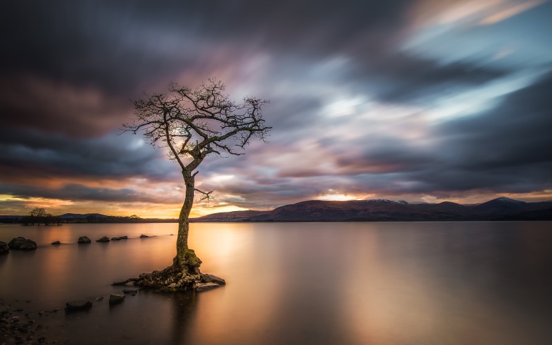 sea, Water, S 10, body, 70D, Canon EF-S, Stopper, Sunrise  Sunset, Photography, mountain, Loch Lomond, Scotland, Light, timelapse photography, 5K, Lone Tree