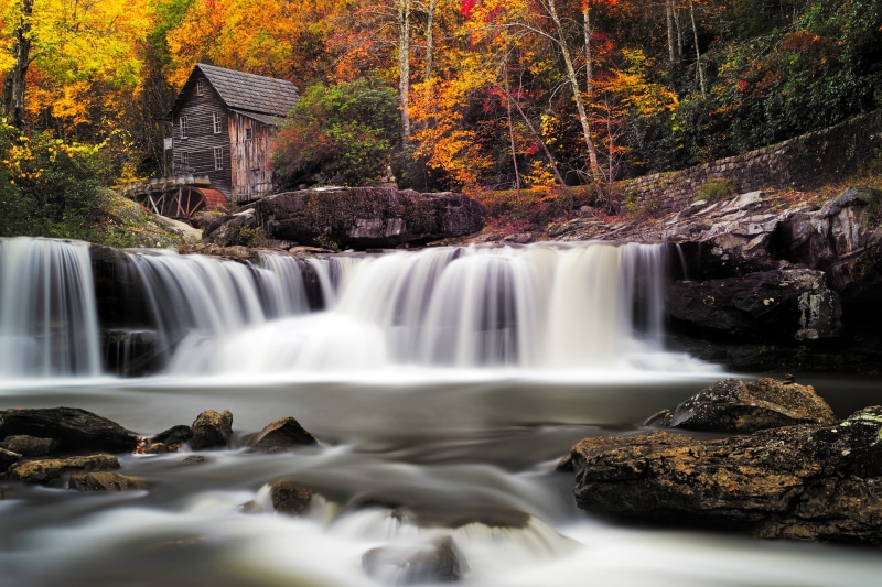 southeast, beauty In Nature, fall, leaf, water, Grist Mill, near, brown, river, rock - Object, tree, outdoors, waterfall, babcock state park, photography
