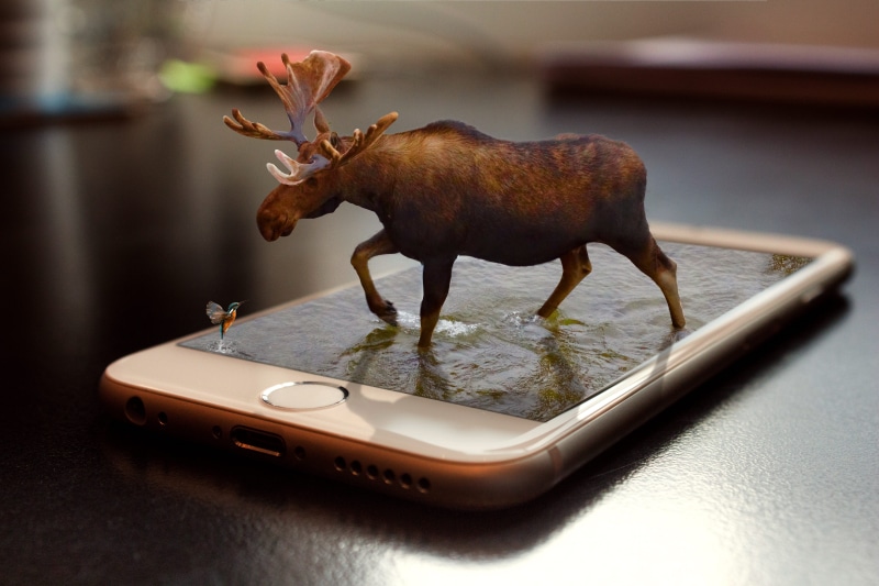 one animal, animal representation, day, manipulation, brown, iphone, communication, silver, 5K, 3d, animal themes, animal, indoors, remix, touch screen