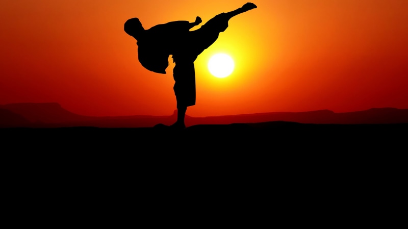 standing, silhouette, scenics - nature, sunset, mental, leisure activity, action, karate, nature, sky, full length, one person, 4K, human arm, men, demonstration