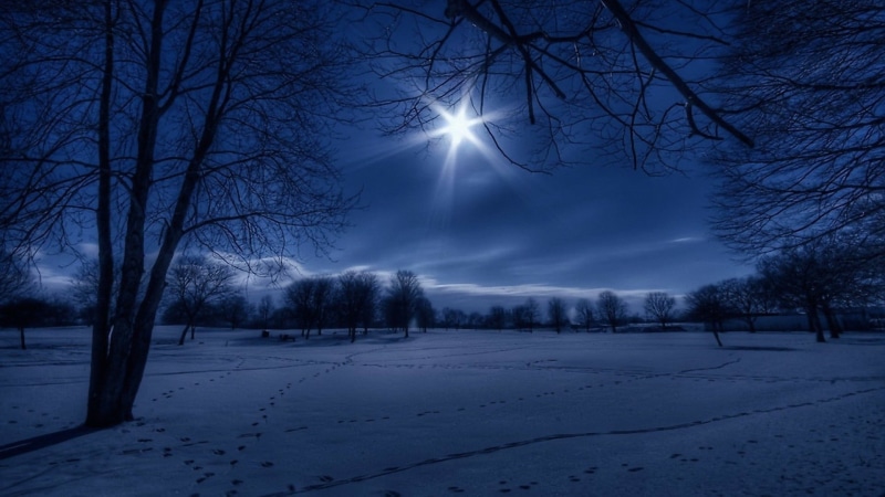 moonlight, environment, evening, beauty in nature, no people, sky, tranquil scene, scenics - nature, branch, darkness, nature, freezing, bluish, 1080P