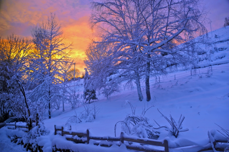 mist, woodland, scenics - nature, vosges, snowy, land, atmosphere, 5K, snow, frozen, tranquility, landscape, alsace, night, sky, contrast, sunrise, beauty in nature