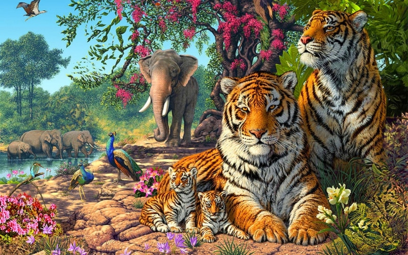 birds, jungle, tigers, elephants, animal, family, exotic, nature, paun, hd, lovers, 1080P