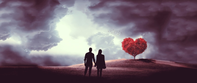 2K, couple - relationship, walking, romance, adult, men, mood, tree, dream, lovers, landscape, silhouette, nature, heart, smoke - physical structure, land