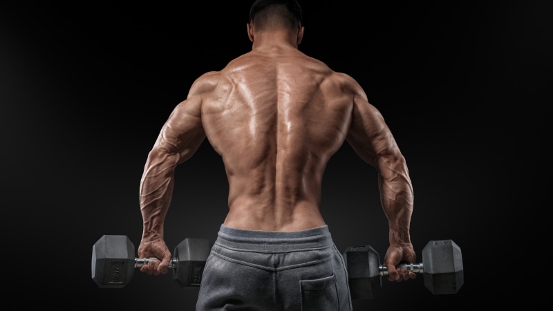 hex, barbell, motivation, Bodybuilding, carrying, Training, back, man, dumbbells, two, bench standing, 8K, exercise, black