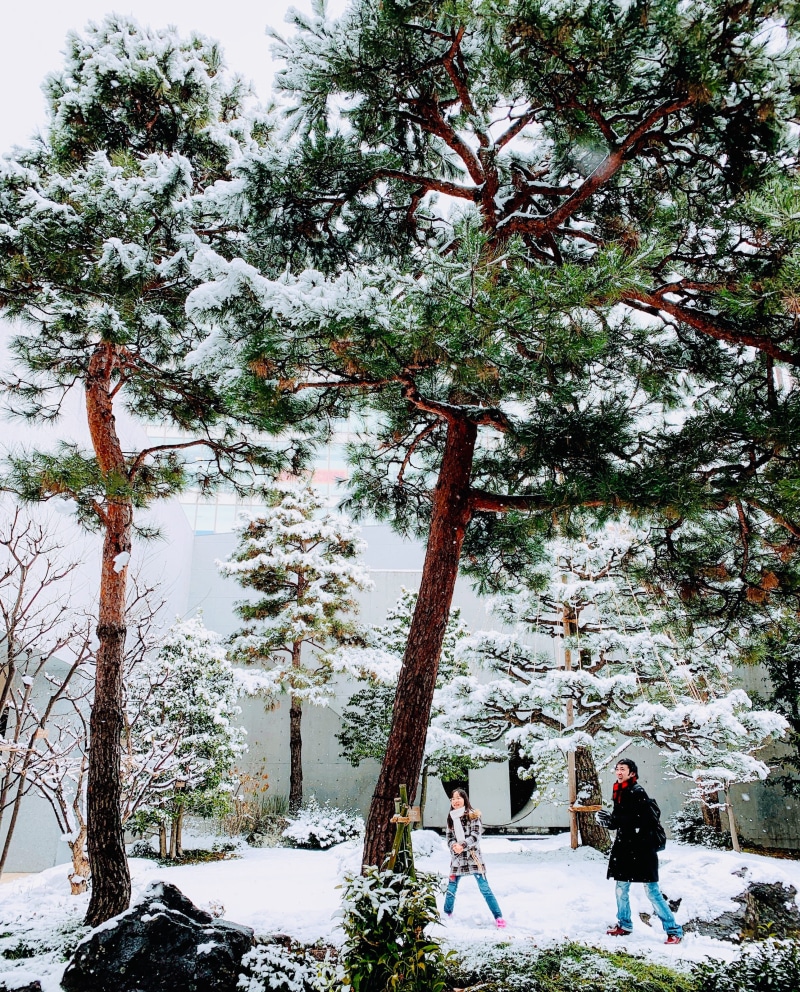 adult, station, women, growth, snow, day, men, real people, cross, pine, lifestyles, tree, abies, two people, symbol, kanazawaekihigashiguchi kanazawa forras bus stop