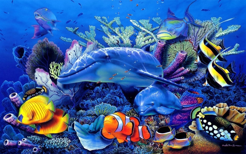 dolphin, animal, ocean, water, swimming, animals in the wild, world, laptop, fish, cell, no people, vertebrate, animal wildlife, phone, sea, tropical, marine