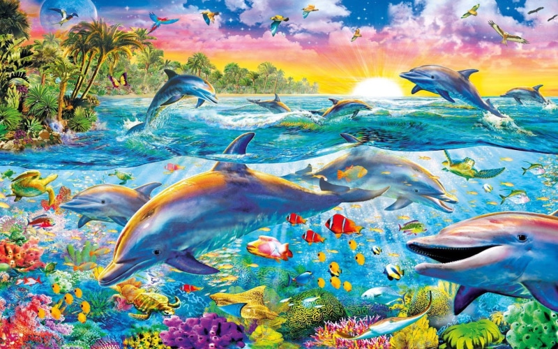 trees, dolphin, land, art, colorful, sunrise, scarlet, fish, birds, hd, 1080P, landscape, corals, world, tropical, coast, palm, animal, underwater