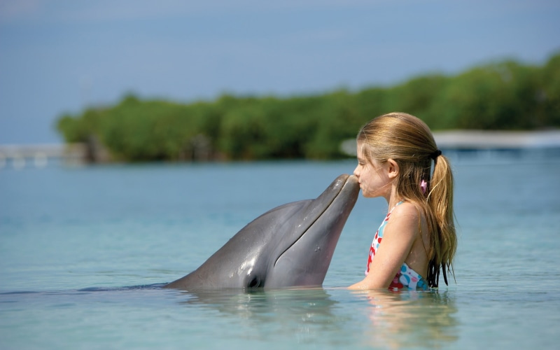 leisure activity, animals, 2K, outdoors, swimming, young adult, ponytail, real people, swimwear, swimming pool, day, females, sea, women, one person, little girl