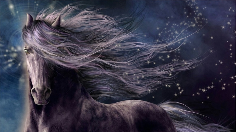 stunning, amazing, mane, artwork, horse, starry night, starry sky, stars, fantasy art, black horse, mythical creature, fairytale, artistic, art, beautiful