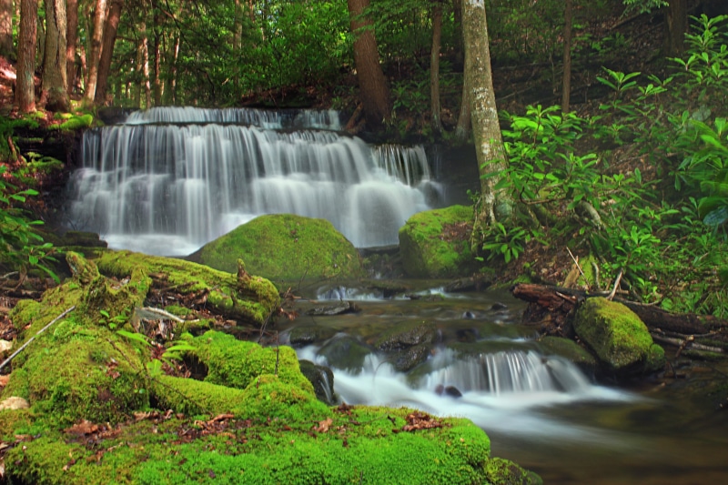 Revisited, Pennsylvania, Sproul State Forest, low light, Wilds, scenics, forest, hiking, outdoors, Trail, Loop, water falls, Yost, heaven, leaf, stream