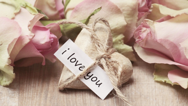 wood - material, western script, postcard, greeting, feeling, map, wood, tender, affection, shape, connectedness, close-up, embassy, love, flowering plant