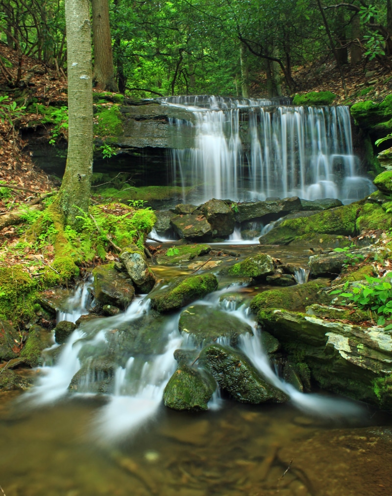 landscape, Revisited, ravine, water, waterfall, outdoors, Wilds, river, scenics, low light, nature, Clinton County, hiking, Pennsylvania, tropical Rainforest