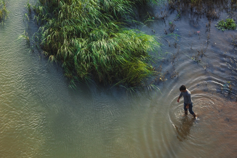 plant, 5K, dom, concept, outdoors, person, high angle view, green water, leisure activity, lifestyles, grass, day, bharatha river, men, fear, contemplation