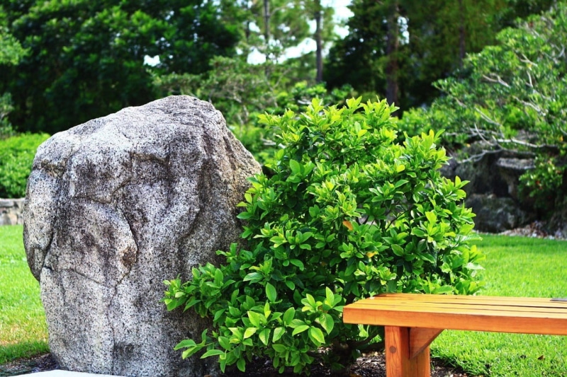 rest, plant part, growth, grass, leaf, Bench, Rock, tree, wood - material, rock, 720P, Japanese, plant, lush foliage, beauty in nature, outdoors, Florida