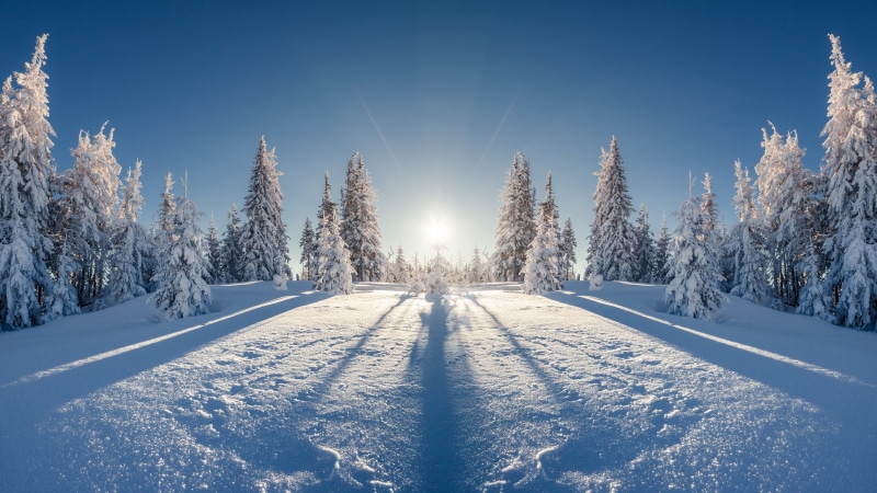 nature, tree, snowcapped mountain, winter 4k nice picture, land, scenics - nature, beauty in nature, day, covering, sky, white color, cold temperature
