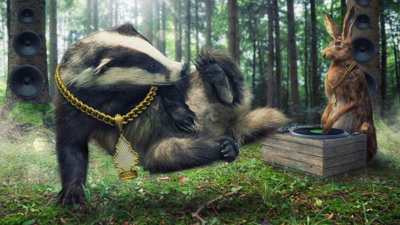grass, rabbits, gray, vinyl, digital art, chains, gramophone, no people, Photoshop, animal wildlife, wood, forest, tree, 1080P, day, vertebrate, breakdance