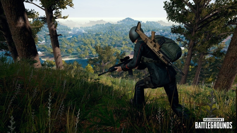 growth, standing, government, land, plant, nature, men, 1080P, Video Game, day, full length, PlayerUnknowns Battlegrounds, green color, gun, outdoors